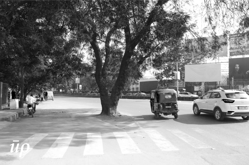 The older trees that have become huge impressive entities on the street was planted when width and uses of the street were very different. They are now found in the middle of the road, very likely to get cut as they poses problem to the growing traffic of Ahmedabad. They present a challenge for design of the public realm.